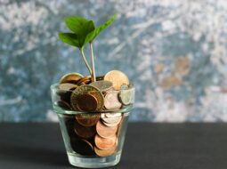 Guiding Your Future How a Certified Private Wealth Advisor Shapes Retirement Planning