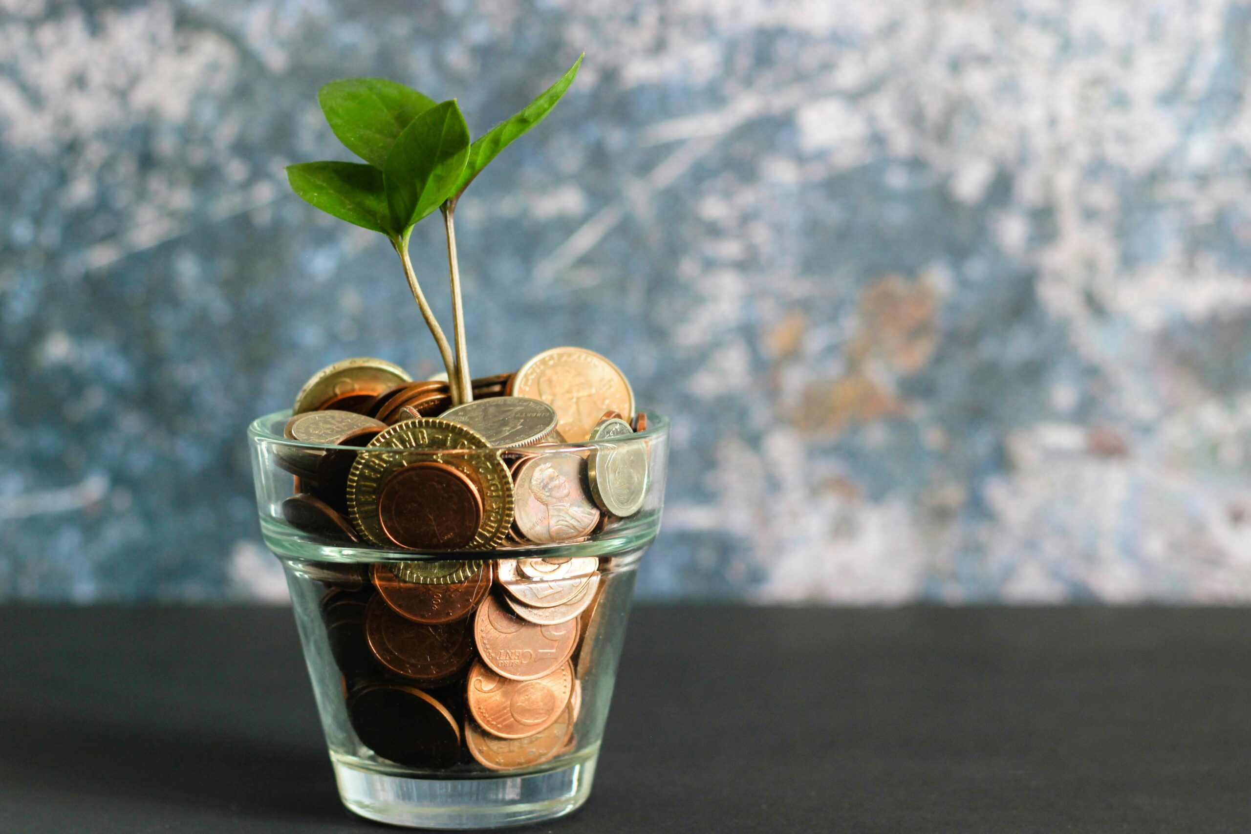Guiding Your Future How a Certified Private Wealth Advisor Shapes Retirement Planning